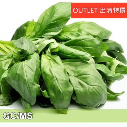 Basil - 羅勒